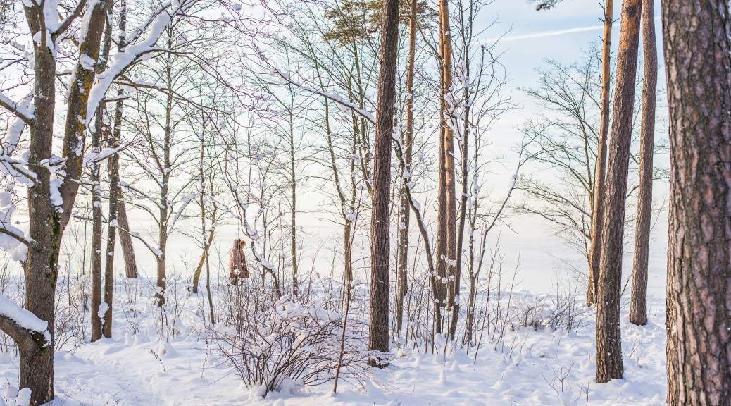 ilya-orehov-i4Cbckt__T8-unsplash